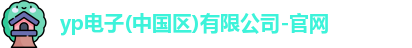 yp电子(中国区)有限公司-官网